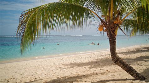 cheap flights to samoa|₱126,629+ Flights to Samoa .